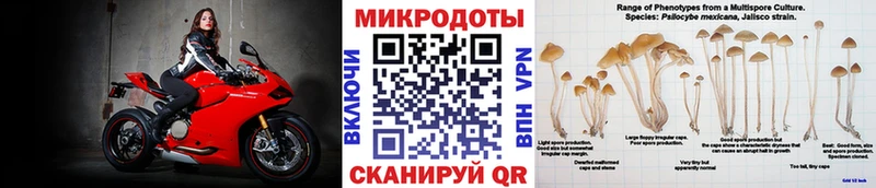 купить закладку  Нерчинск  Псилоцибиновые грибы мухоморы 